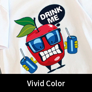 Película de impressora DTF A4 / A3 Peeling a frio Espessura PET 75U Película de liberação não adesiva 2