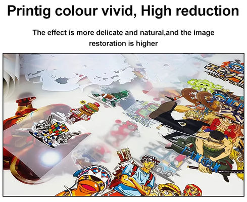 Direct To Film DTF PET Transfer Printing Ink para Epson I3200 XP600 L1800 L805 R1390