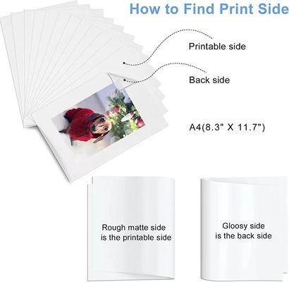 Encontre o material de impressão DTF mate Perfeito 30cm 60cm DTF Transfer Pet Film Roll Paper Single Film Roll Dtf Pet Film
