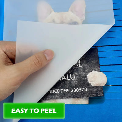 Película de transferência de calor PET para L1800 805 1390 XP600 3200 4720 DX5 75mic 60cm*100m película de impressão de tinta branca para vestuário