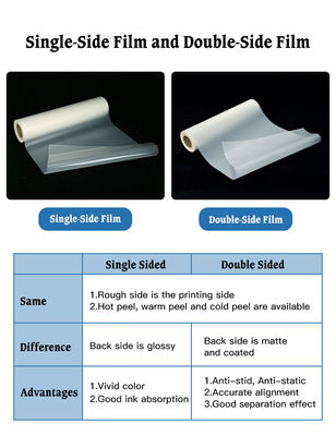 Folha de PET DTF de rolo de 30cm 33cm 43cm 60cm para impressora DTF I3200