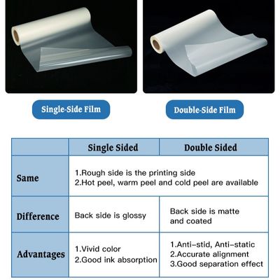 Filme DTF para animais de estimação de lado único duplo 30CM 33CM 60CM 60CM * 100M Transferência de calor de rolagem 75Micron Peeling frio quente