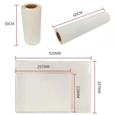 DTF Film Hot Peel Double Matte 30cm*100m Instant Peel filme de impressão de tinta branca