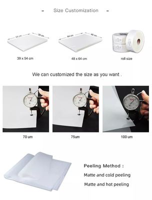 Película de impressão de poliéster de silicone de 100 μm para impressão offset e serigrafia